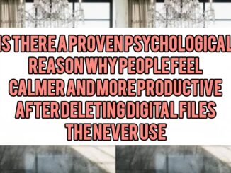 Is There a Proven Psychological Reason Why People Feel Calmer and More Productive After Deleting Digital Files They Never Use