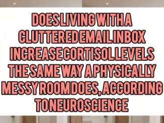 Does Living With a Cluttered Email Inbox Increase Cortisol Levels the Same Way a Physically Messy Room Does, According to Neuroscience